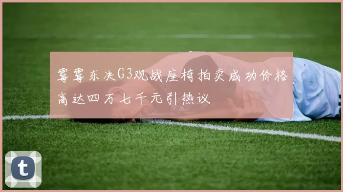 霉霉东决G3观战座椅拍卖成功价格高达四万七千元引热议